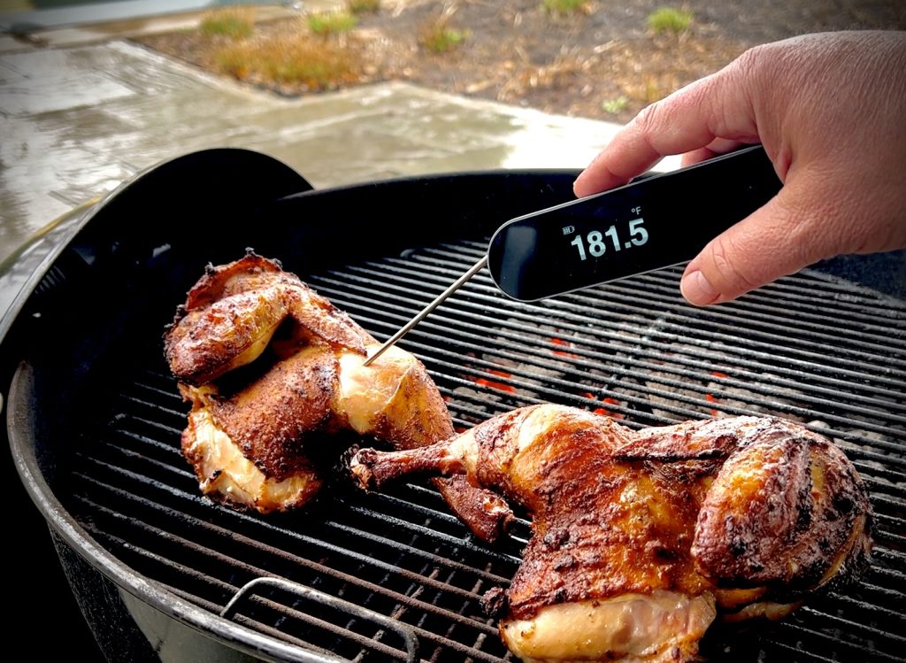 typhur instaprobe meat thermometer checking chicken temperature